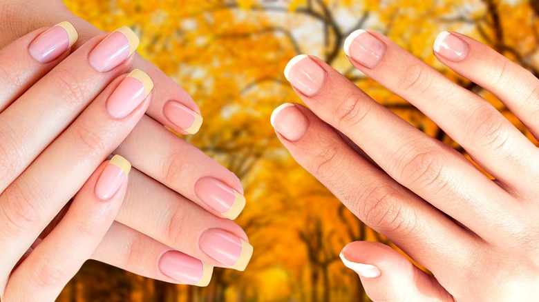 french nails on leafy fall background