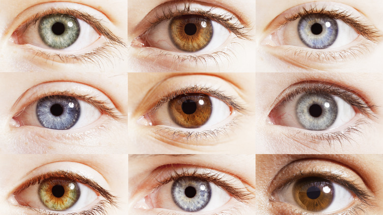 collage of different colored eyes