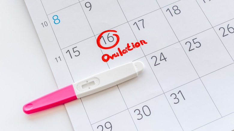 Calendar with ovulation day marked