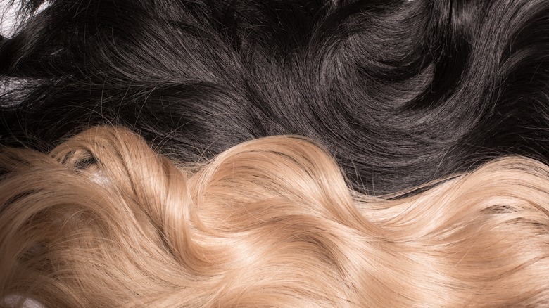 Black and platinum blonde hair positioned side-by-side